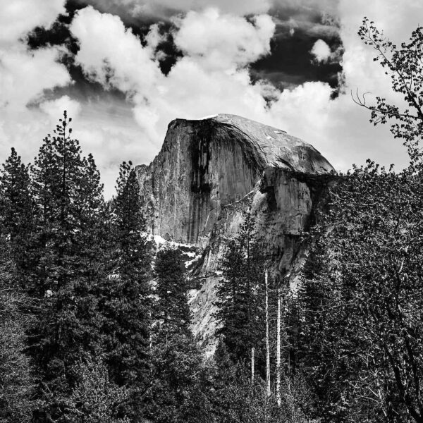 Half Dome 2023