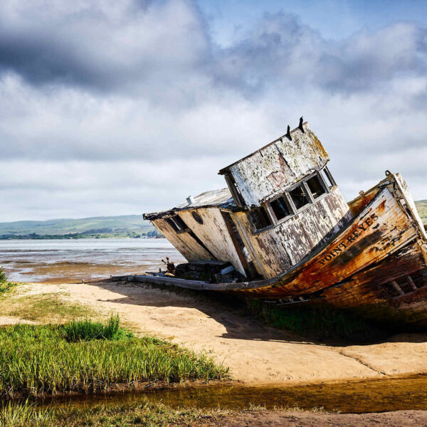 Tomales Bay Shipwreck - Point Reyes National Seashore