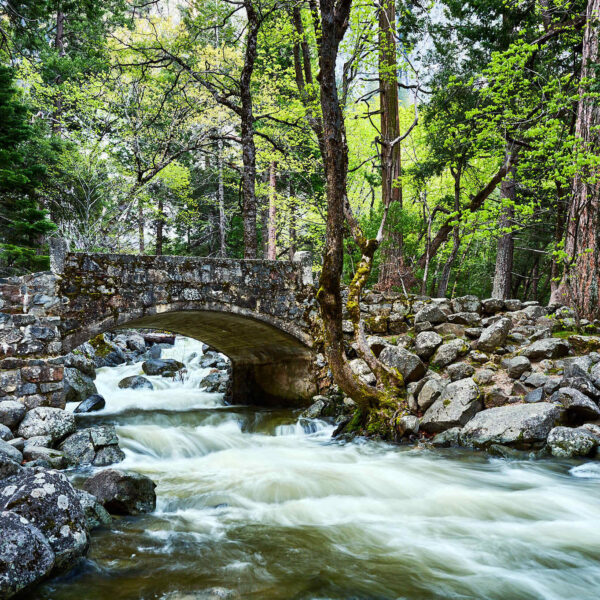 Bridalveil Fall Bridge 2024