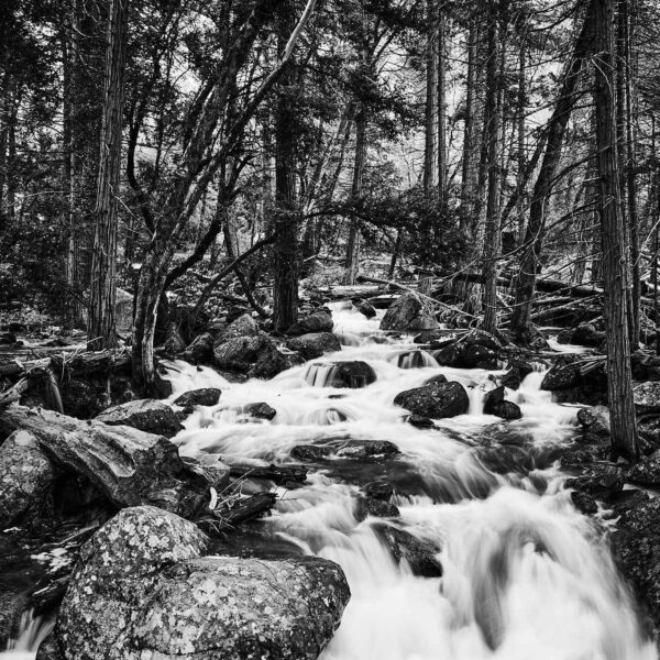 Bridalveil Fall Streams 2024