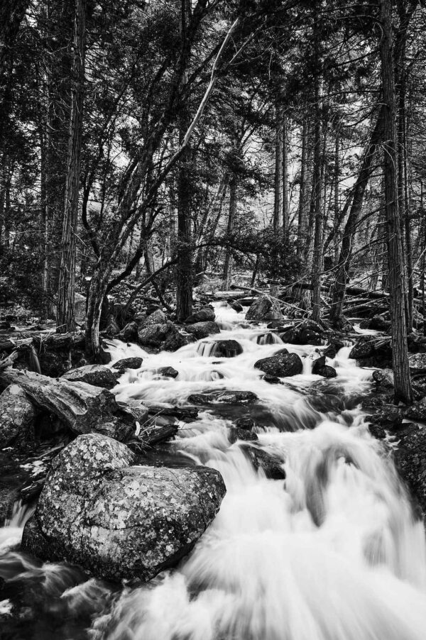 Bridalveil Fall Streams 2024