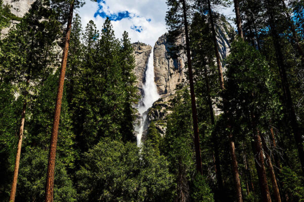 Yosemite Falls 2024