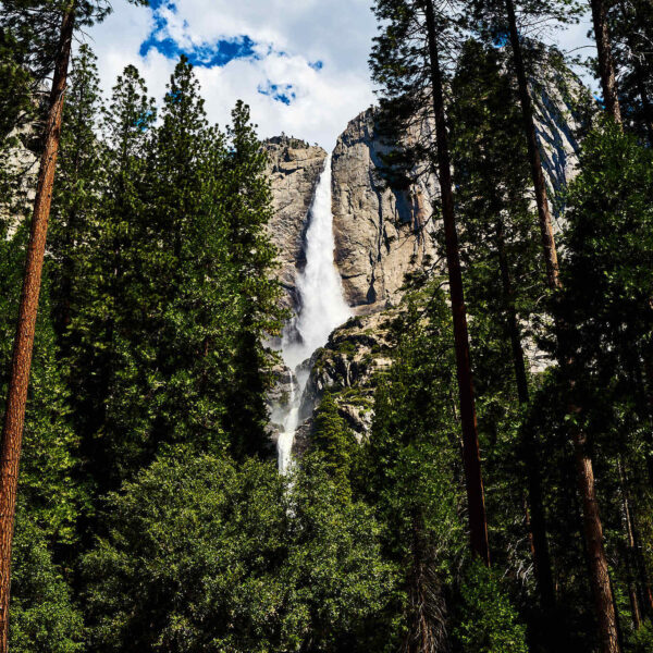 Yosemite Falls 2024